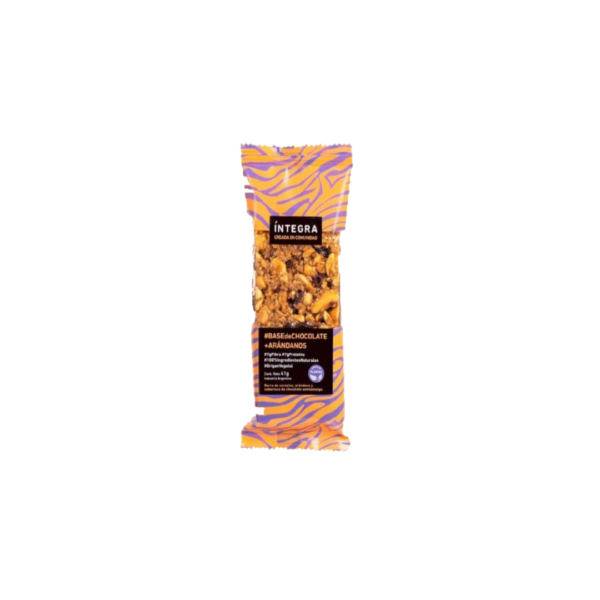 BARRITA BASE CHOCOLATE, MANI Y ARANDANO X41G