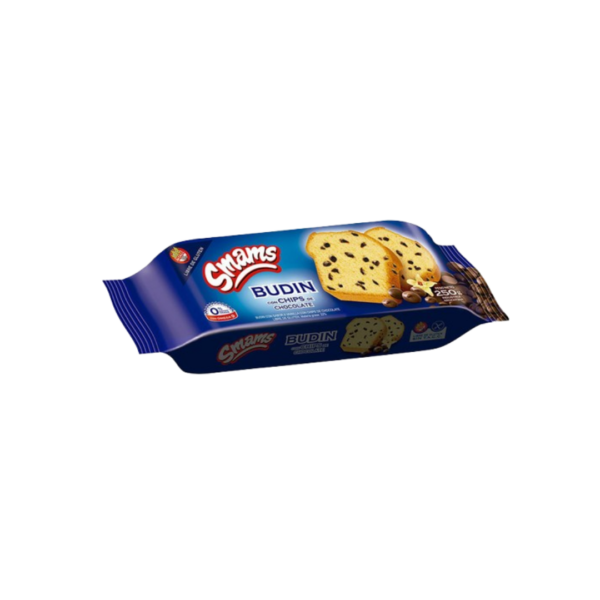BUDIN CON CHIPS X200G