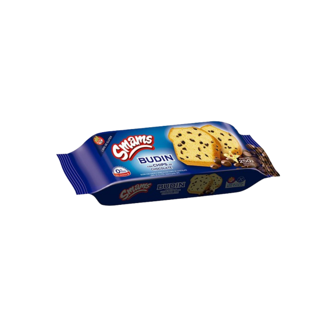 BUDIN CON CHIPS X200G