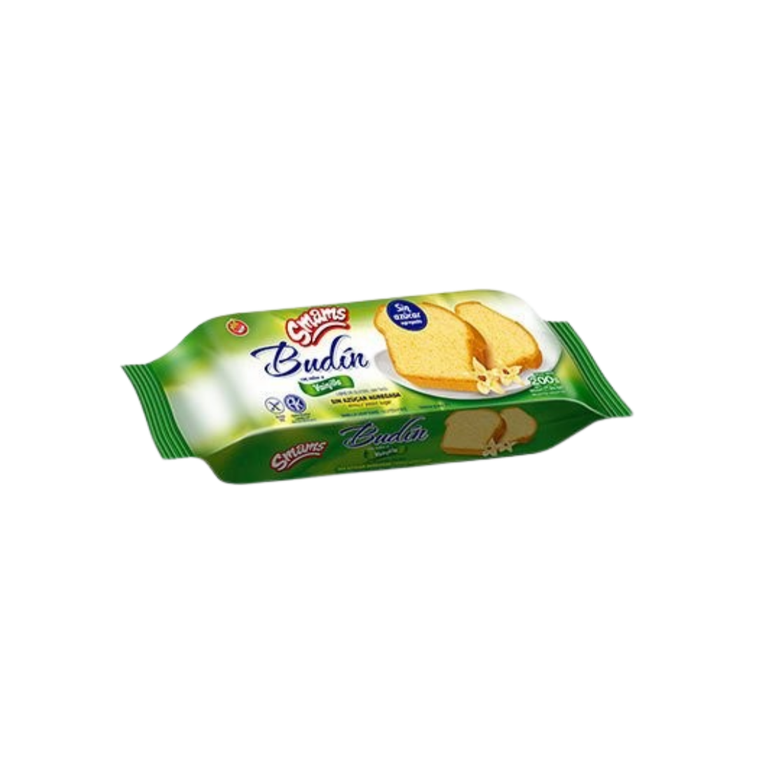 BUDIN VAINILLA X250G