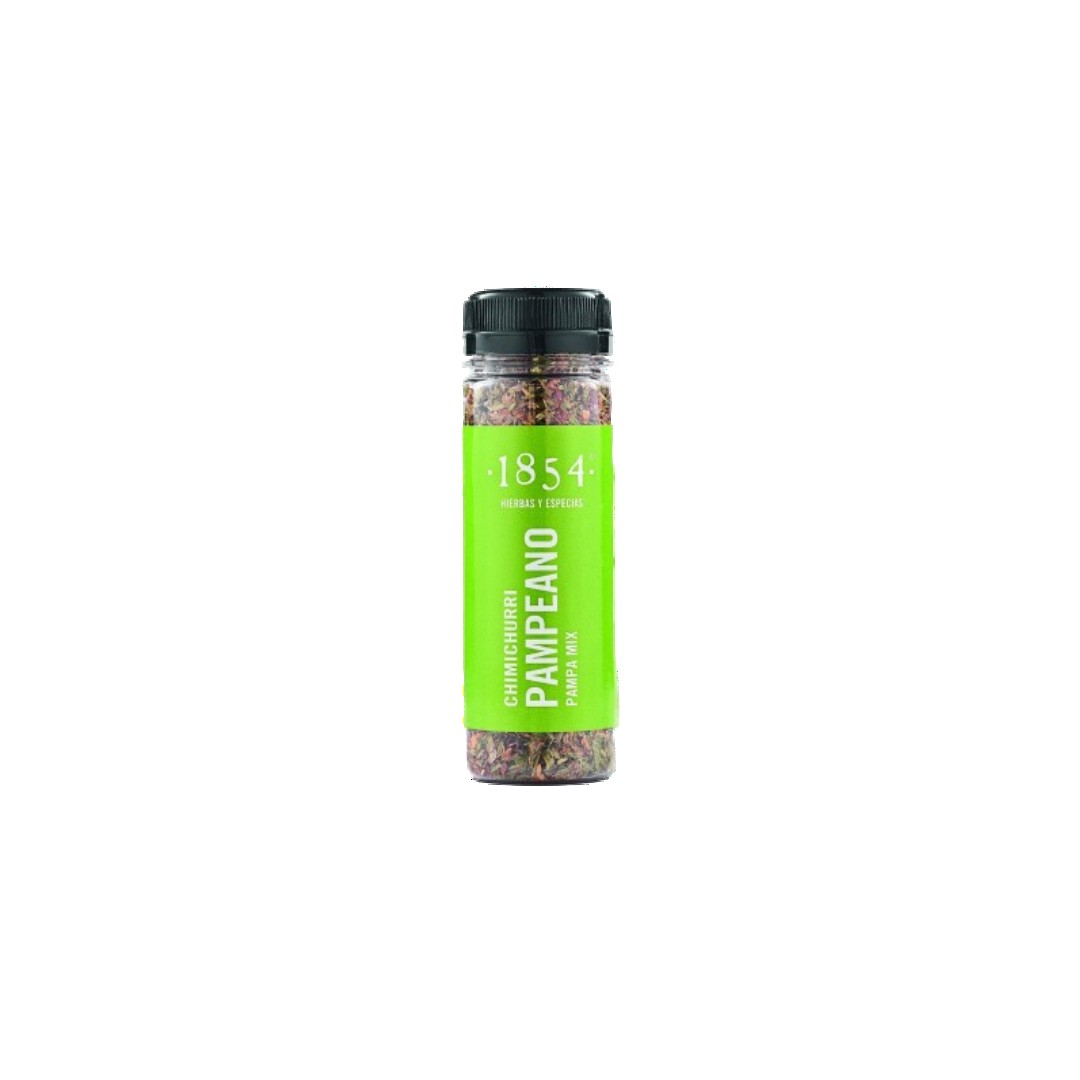 CHIMICHURRI PAMPEANO X40G