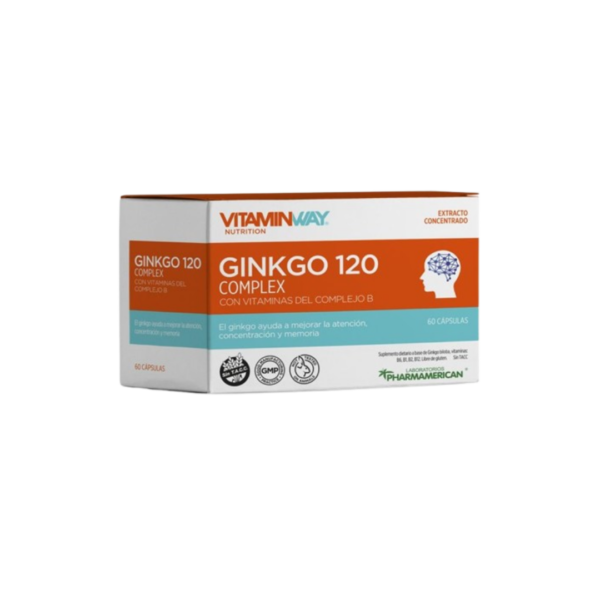 GINKGO 120 COMPLEX X60CAP
