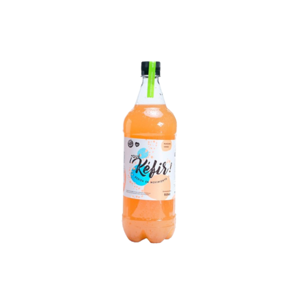 KEFIR MANZ VERDE QUE KEFIR X1LT PET