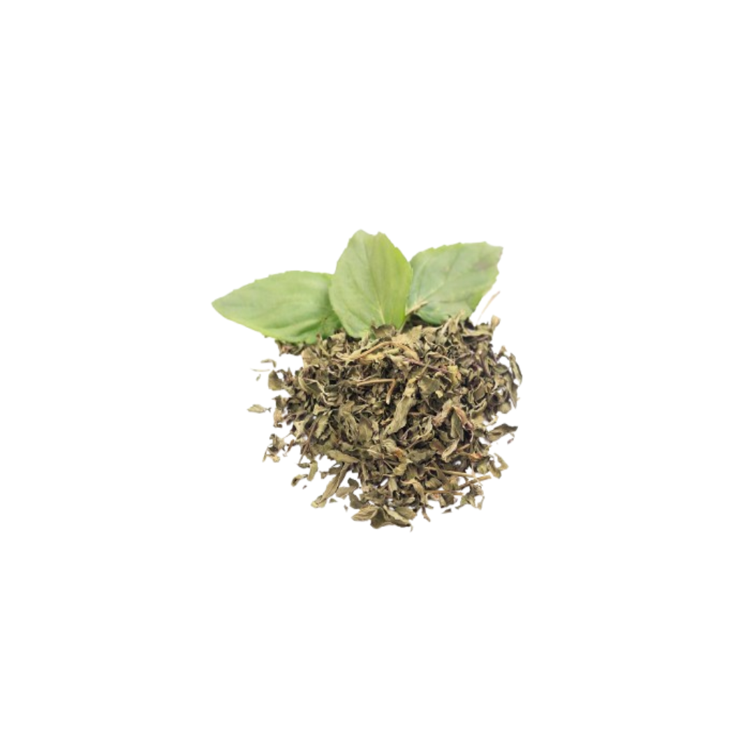 MENTA EGIPCIA