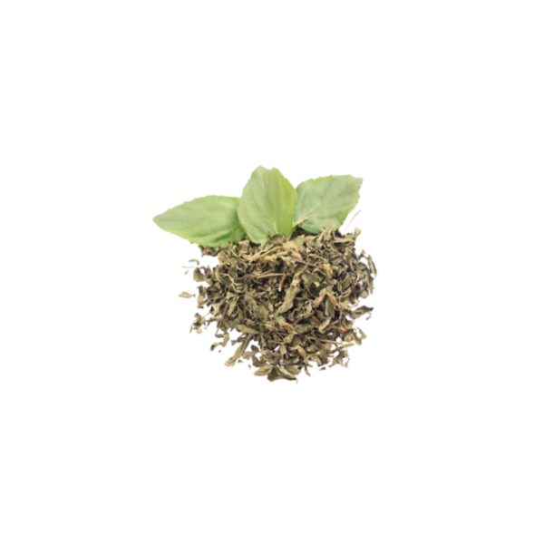 MENTA PEPERINA