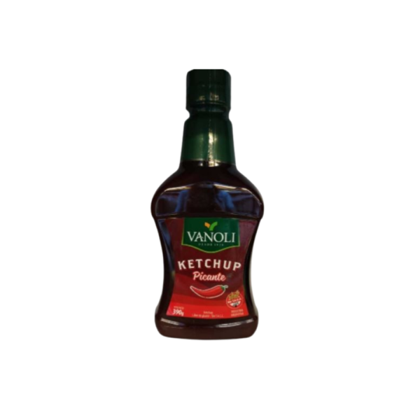 SALSA KETCHUP PICANTE X390G