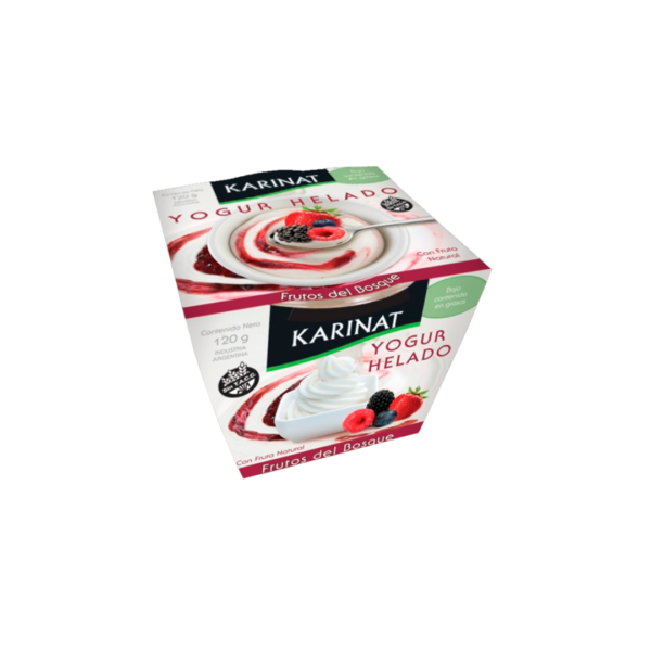YOGURT HELADO SABOR FRUTOS DEL BOSQUE X120GR