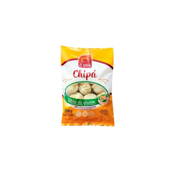 CHIPA X300G